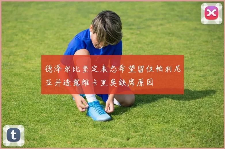 德泽尔比坚定表态希望留住帕利尼亚并透露维卡里奥缺席原因