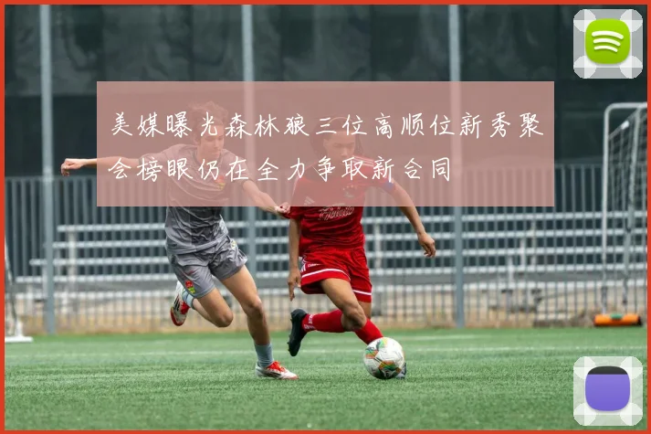 美媒曝光森林狼三位高顺位新秀聚会榜眼仍在全力争取新合同