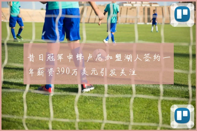 昔日冠军中锋卢尼加盟湖人签约一年薪资390万美元引发关注