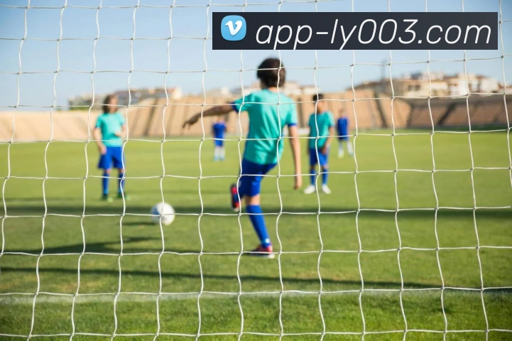 App 展示图
